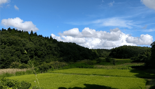 Tsubaki TC Satoyama Bank: Japan's first attempt at biodiversity banking. The project is aiming to conserve 43 hectares of land in Chiba prefecture, as well as revitalize the local economy.